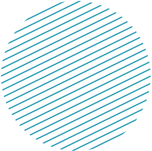 Mental Health Testing and Assessment Icon